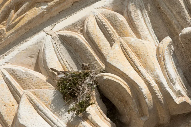 Image du carousel qui illustre: Balade À Pied N°48 - Une Église Romane Entre Boischaut Et Brenne à Paulnay