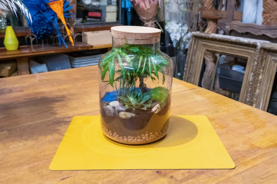 Image du carousel qui illustre: Créez votre terrarium à Paris