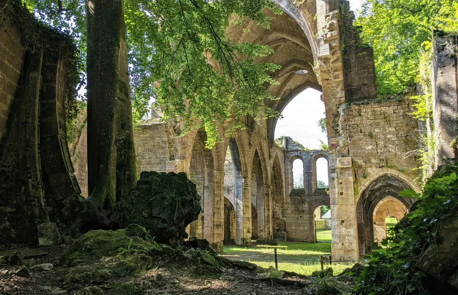Image du carousel qui illustre: Découvrez une ancienne abbaye cistercienne, entre nature et vestiges, lors d'une visite guidée à Trois-Fontaines-l'Abbaye