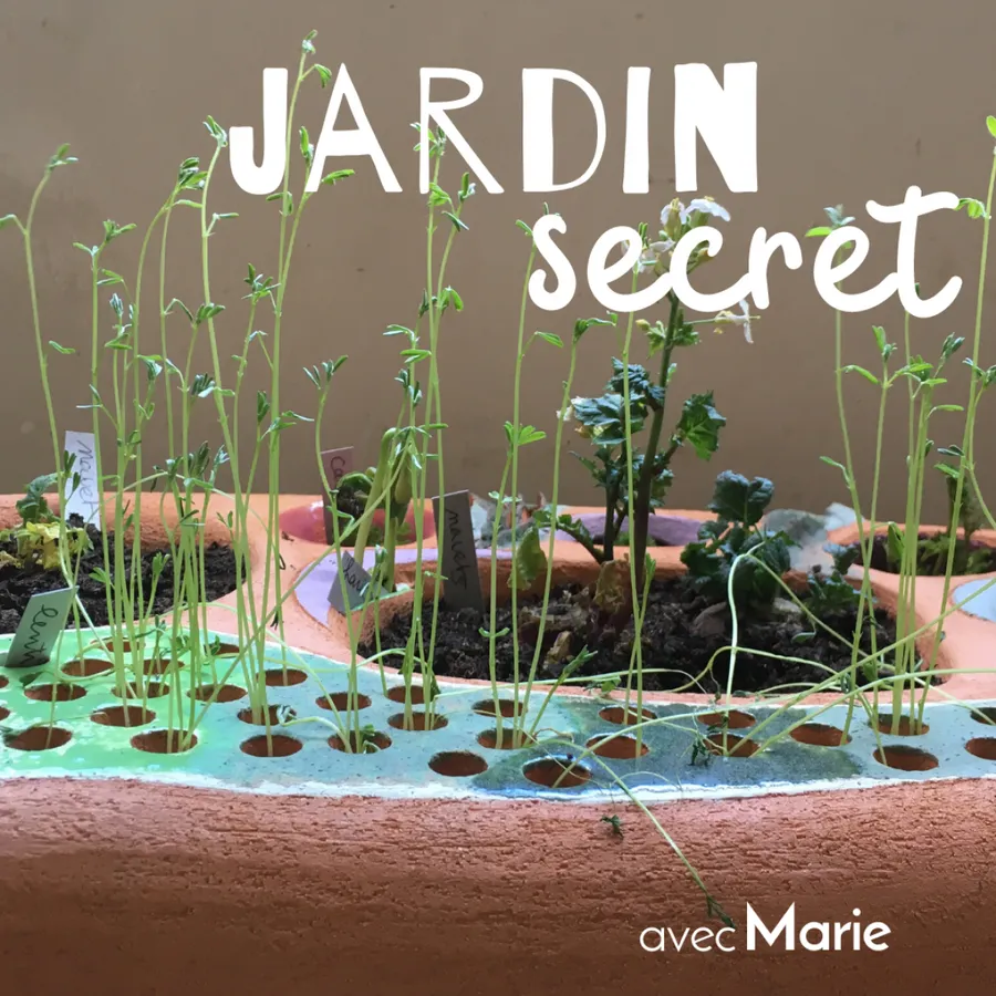 Image du carousel qui illustre: Modelez votre jardinière d'intérieur en céramique à Paris