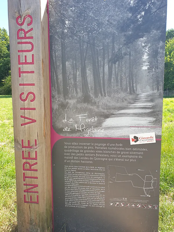 Image du carousel qui illustre: Forêt De Migelane à Martillac