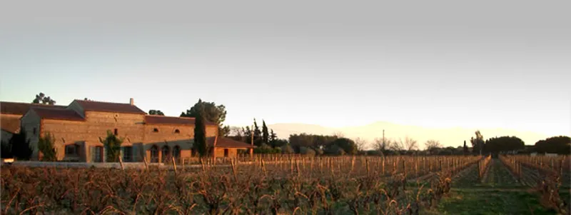 Image du carousel qui illustre: Mas Baux Domaine Viticole Bio à Canet-en-Roussillon