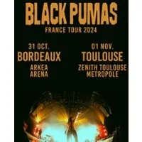 Image du carousel qui illustre: Black Pumas à Floirac