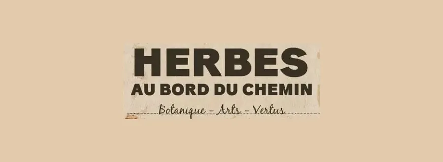 Image du carousel qui illustre: Exposition : Herbes Au Bord Du Chemin à Saint-Rémy-de-Provence