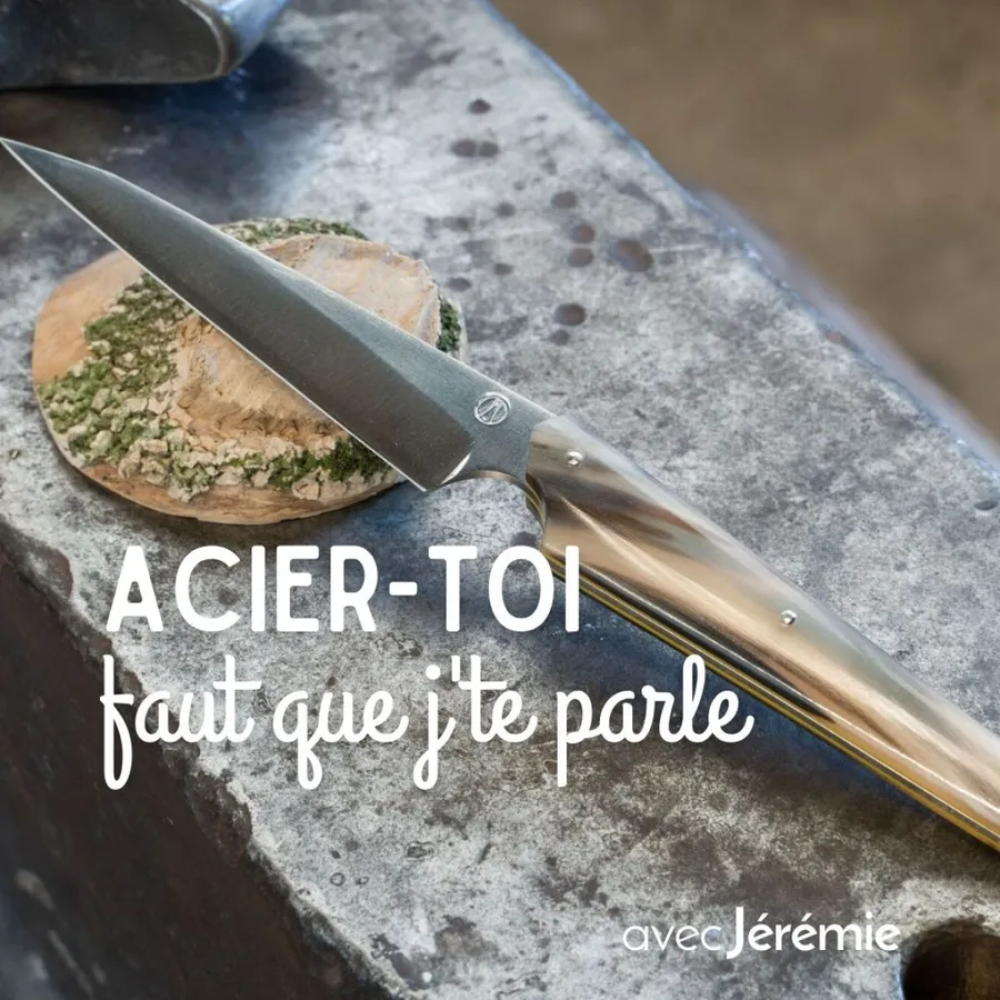 Image du carousel qui illustre: Forgez et votre couteau fixe en acier carbone - 2J à Portes-lès-Valence