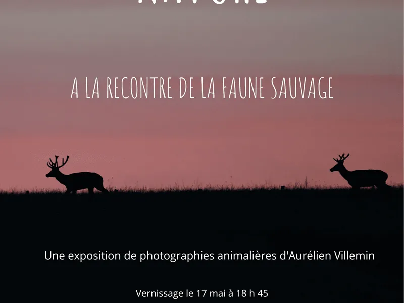 Image du carousel qui illustre: Exposition 'couleurs Nature' à Girmont-Val-d'Ajol