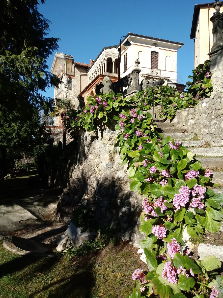 Image du carousel qui illustre: À la recherche d'arbres et de fleurs à Casa Pogliaghi à 