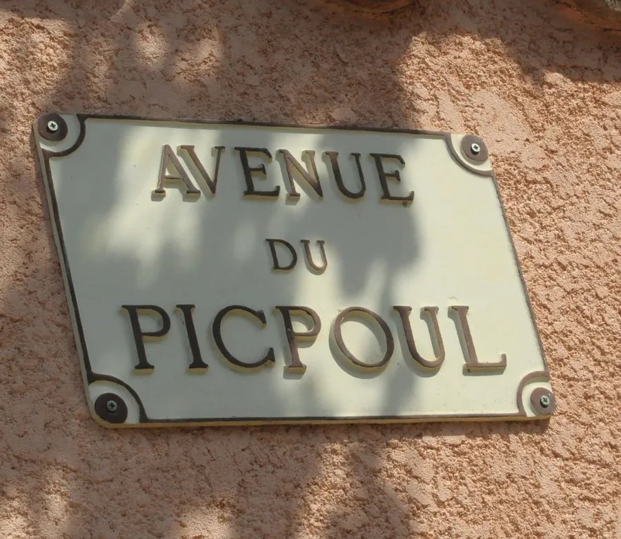 Image du carousel qui illustre: Cave De L'ormarine - Caveau De Pinet à Pinet