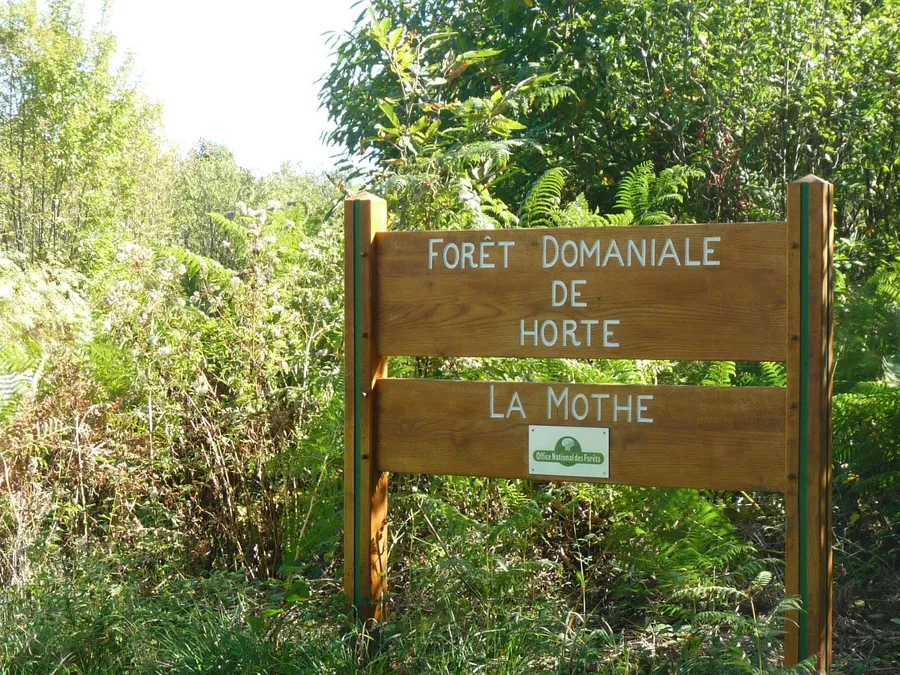 Image du carousel qui illustre: Arboretum Jean Aubouin à Combiers