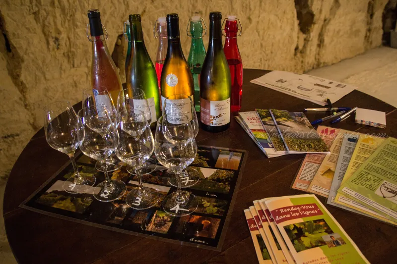 Image du carousel qui illustre: De la vigne au verre de vin   à Chançay
