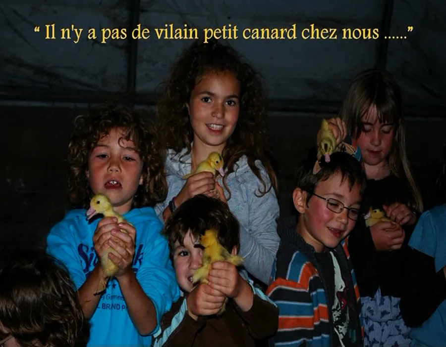 Image du carousel qui illustre: Ferme Des Cazalous à Puyjourdes