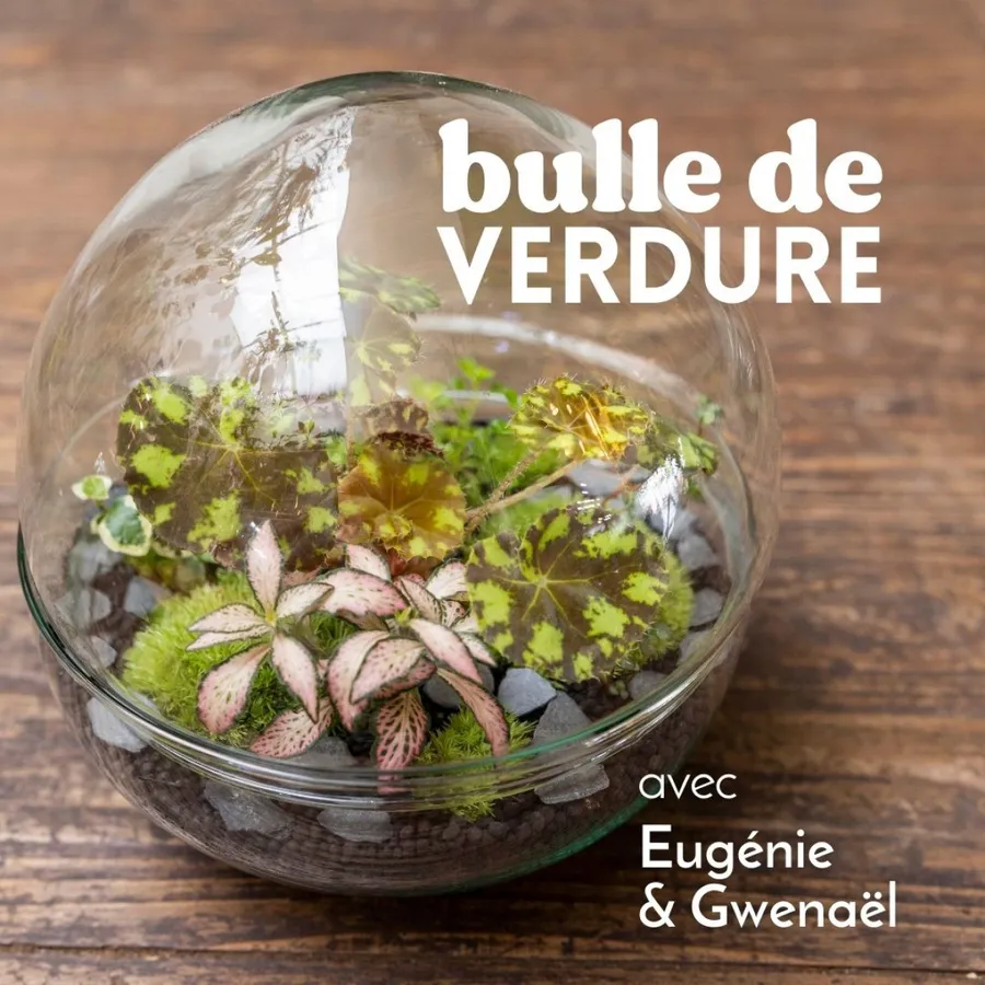 Image du carousel qui illustre: Créez votre terrarium sphérique à Paris