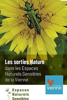 Image du carousel qui illustre: Et si on découvrait la nature ensemble ? à Monts-sur-Guesnes