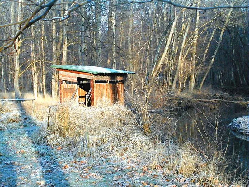 Image du carousel qui illustre: Observatoire de la grande faune à Sélestat