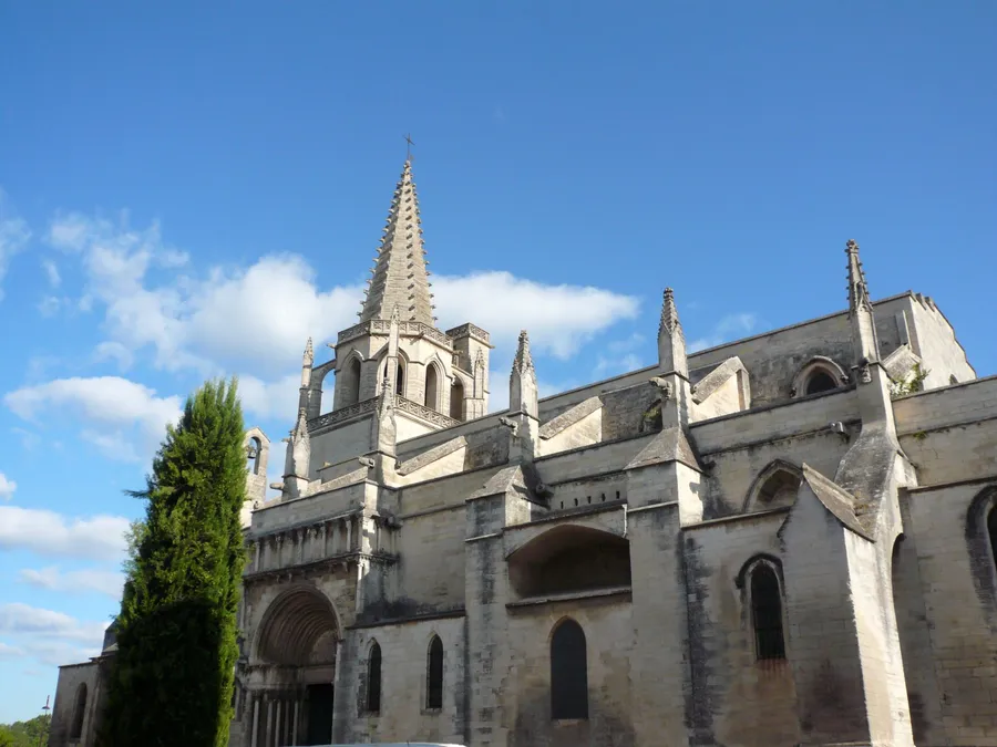 Image du carousel qui illustre: Église Sainte Marthe à Tarascon