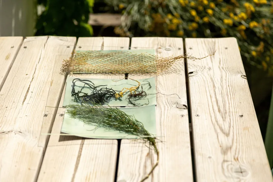 Image du carousel qui illustre: Créez vos œuvres en cyanotype à Saint-Nazaire