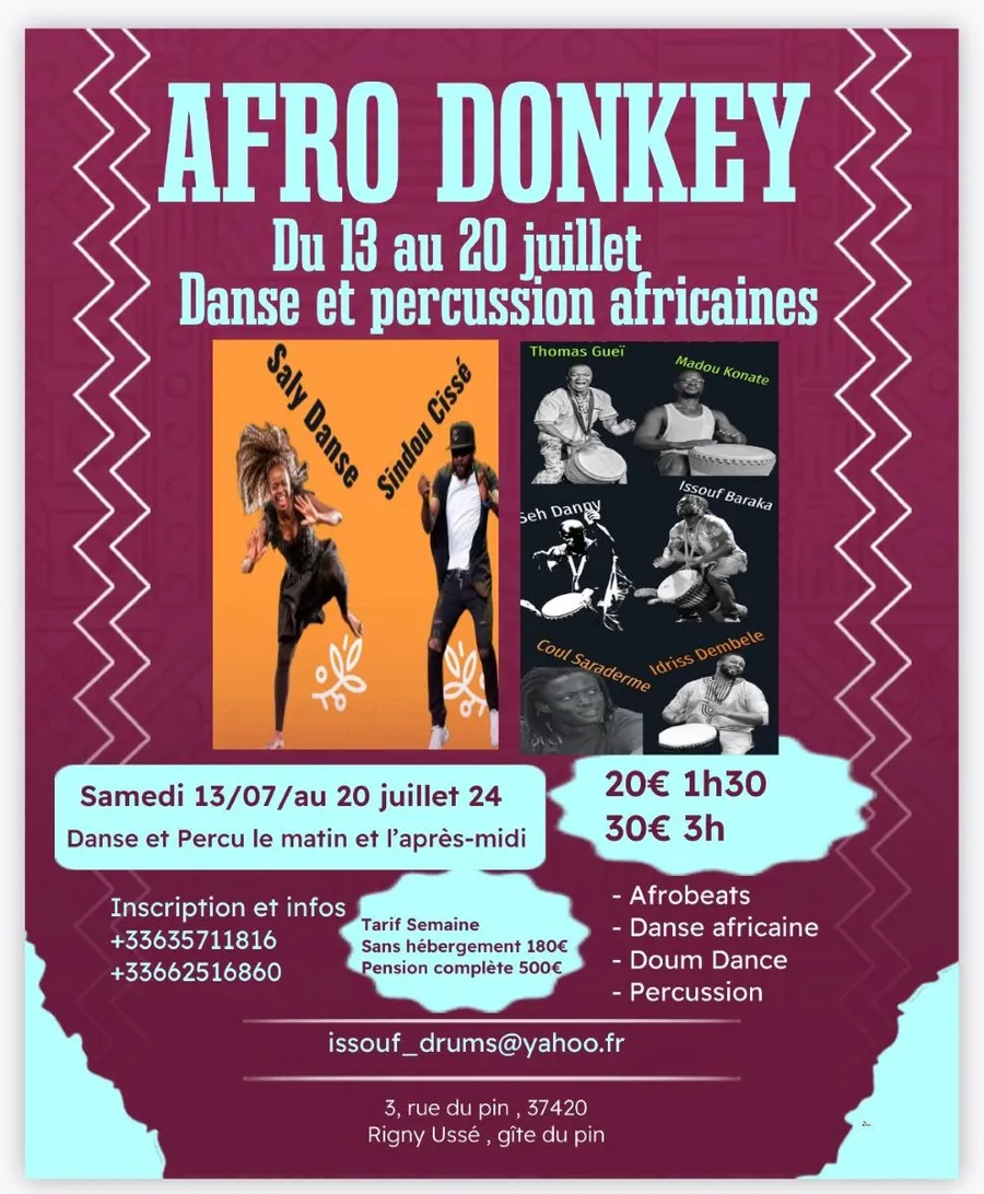 Image du carousel qui illustre: Afro Donkey à Rigny-Ussé