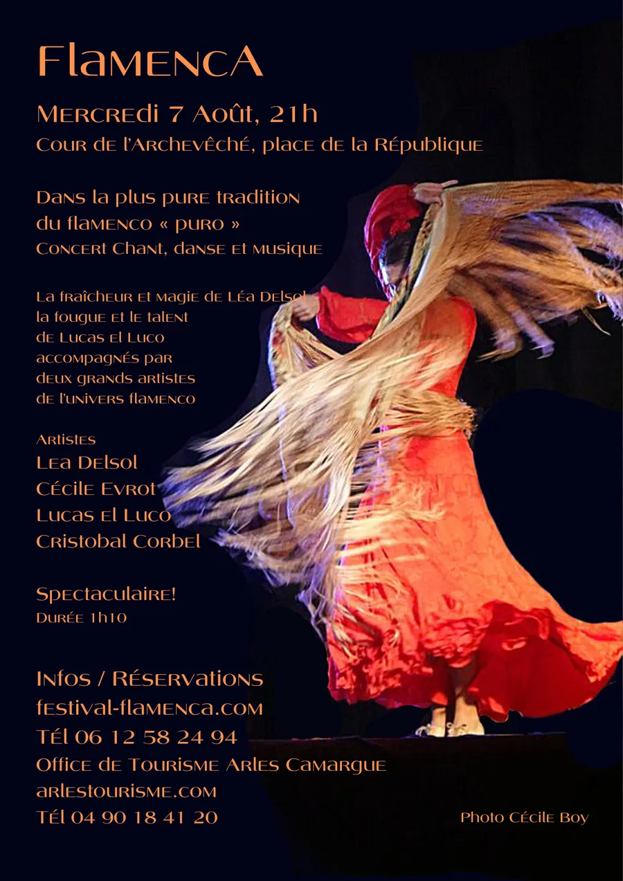 Image du carousel qui illustre: Dans la pure tradition du flamenco puro à Arles