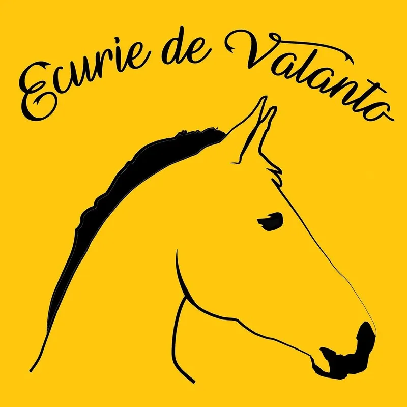 Image du carousel qui illustre: Ecurie De Valanto à Velles