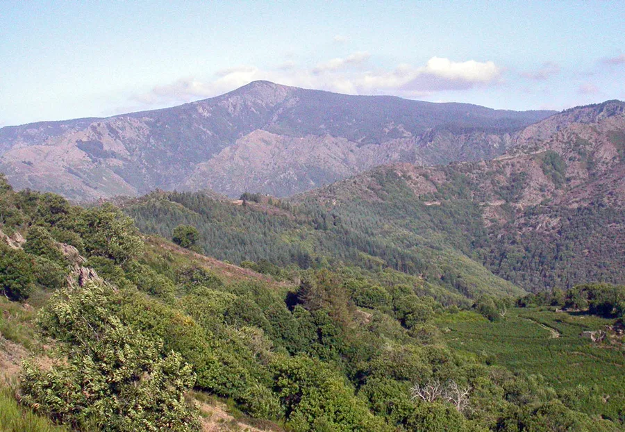 Image du carousel qui illustre: Mont Aigoual à Bassurels
