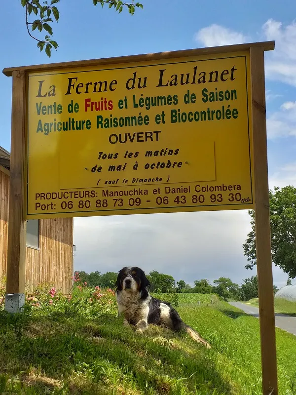 Image du carousel qui illustre: La Ferme Du Laulanet à Saint-Colomb-de-Lauzun