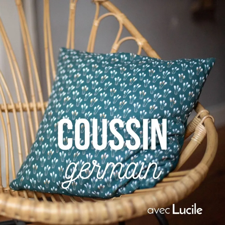 Image du carousel qui illustre: Réalisez votre housse de coussin à Chambéry