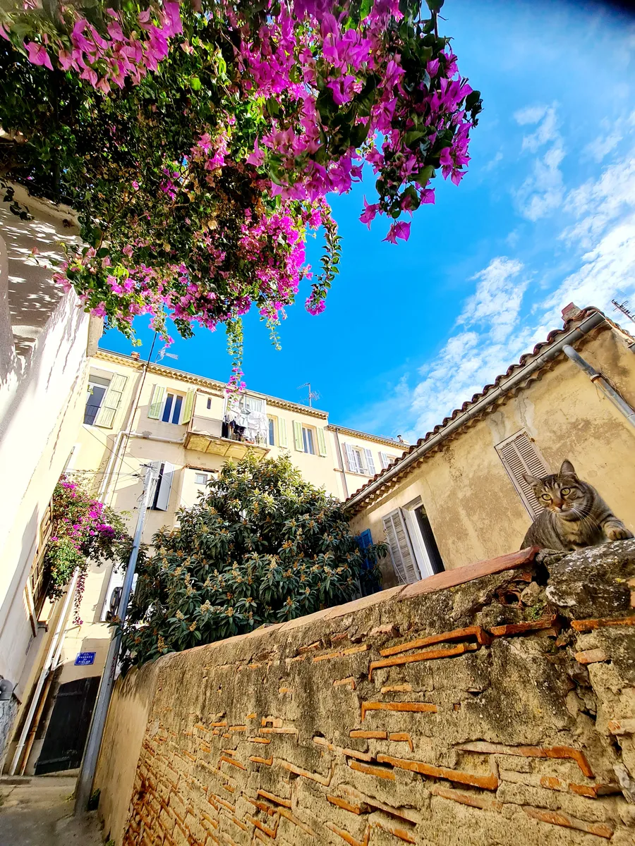 Image du carousel qui illustre: Balade urbaine l'Estaque à cœur à Marseille