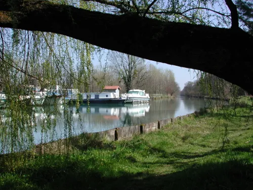 Image du carousel qui illustre: Buzet, un port entre Canal et Baïse à Buzet-sur-Baïse