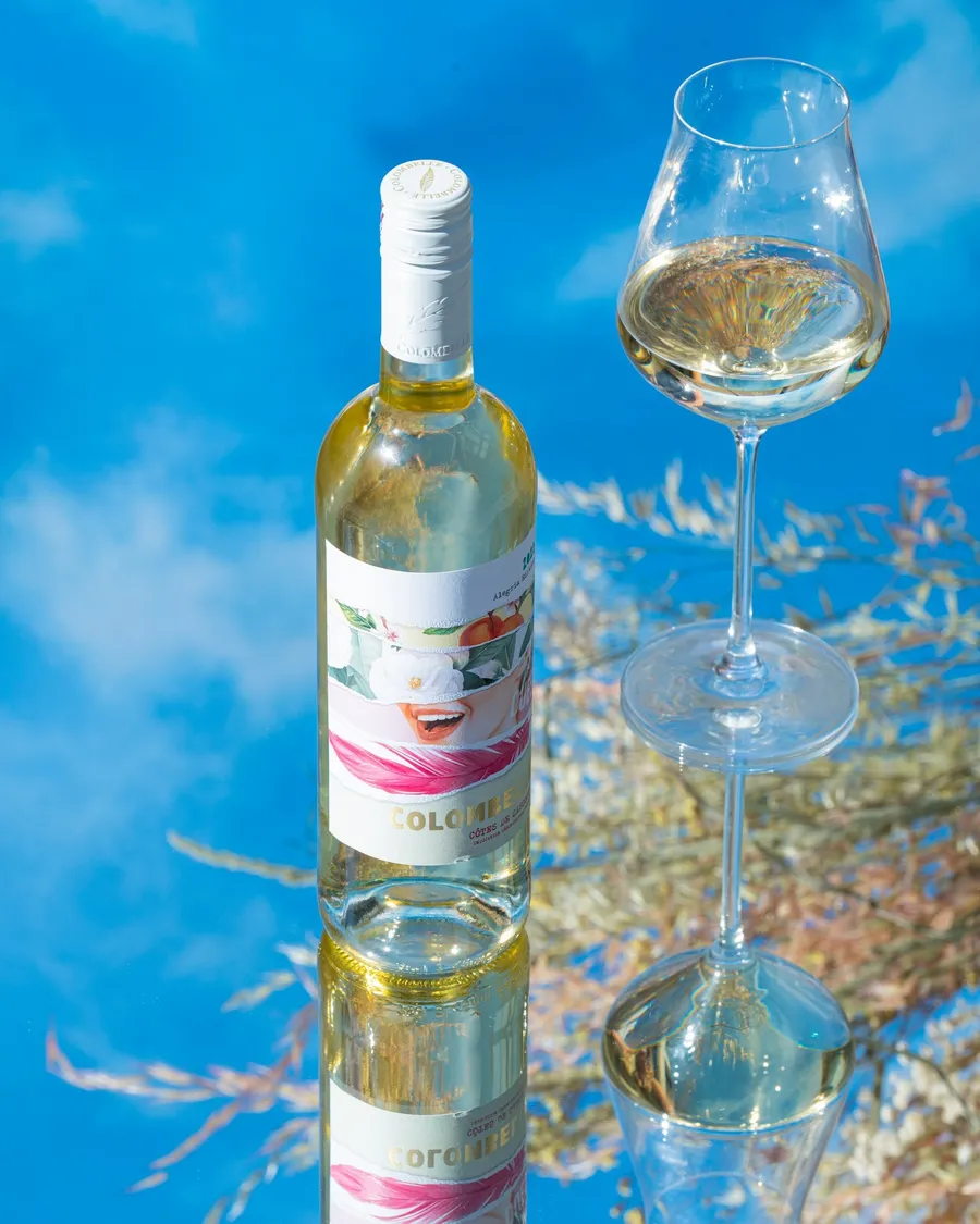 Image du carousel qui illustre: Vignoble Plaimont à Saint-Mont