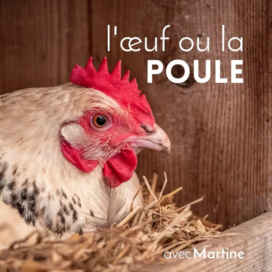 Image du carousel qui illustre: Immergez-vous dans un élevage de poules pondeuses à Soisy-sur-École