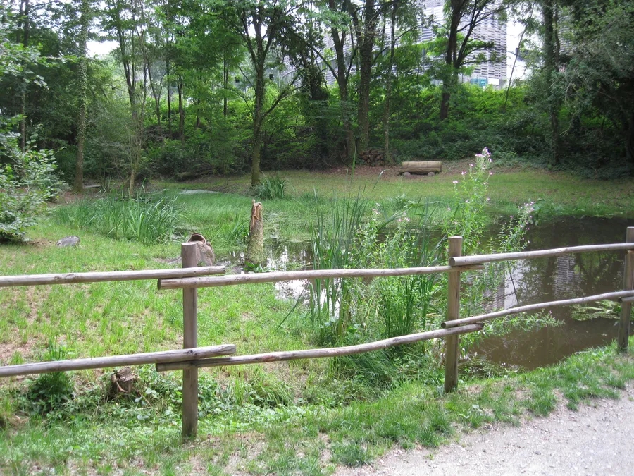 Image du carousel qui illustre: Sentier Bastide-Uzurat à Limoges