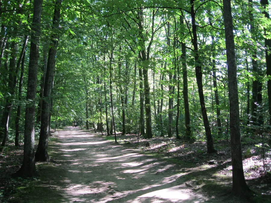 Image du carousel qui illustre: Sentier Bastide-Uzurat à Limoges