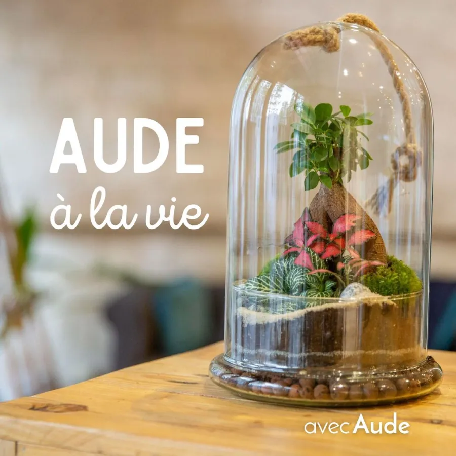 Image du carousel qui illustre: Créez votre terrarium sous cloche à Paris