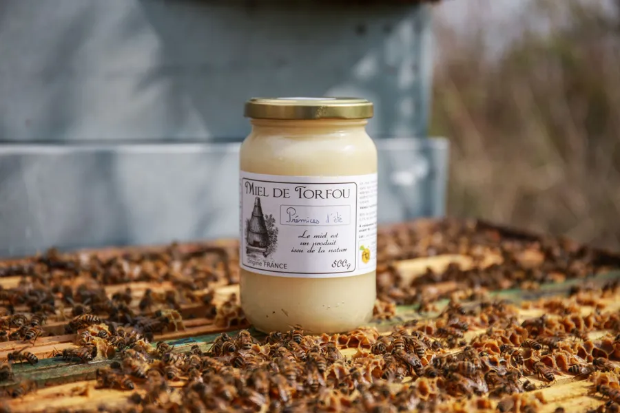 Image du carousel qui illustre: Initiez-vous à l'apiculture à Gometz-la-Ville