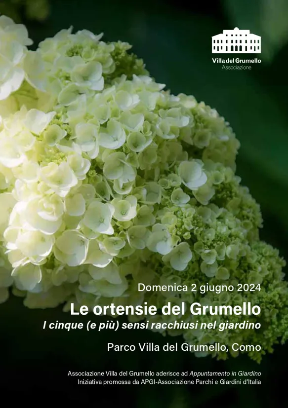 Image du carousel qui illustre: Les hortensias Grumello - Les cinq (et plus) sens enfermés dans le jardin à 
