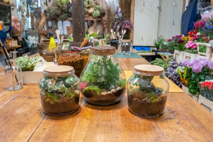 Image du carousel qui illustre: Composez votre terrarium en famille à Paris