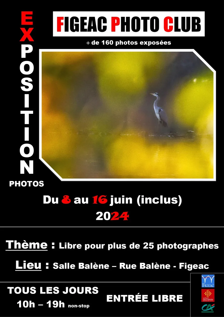 Image du carousel qui illustre: Exposition De Photographies Du Figeac Photo Club à Figeac