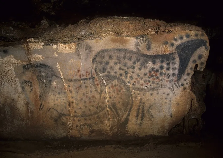 Image du carousel qui illustre: Visite guidée de la grotte ornée à Cabrerets