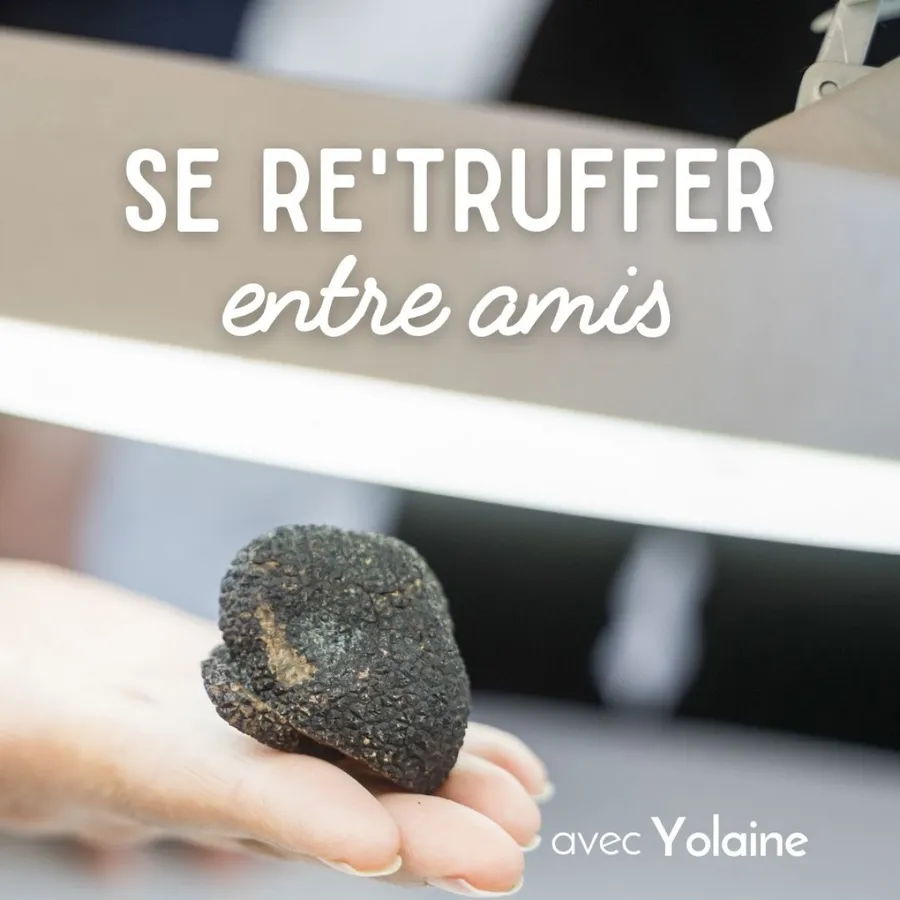 Image du carousel qui illustre: Visitez une truffière et dégustez ! à Le Garn