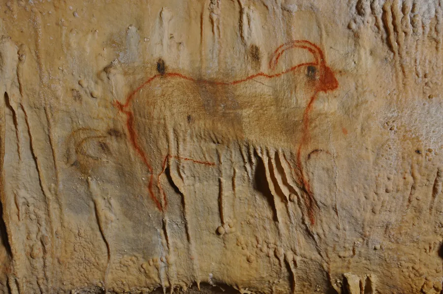 Image du carousel qui illustre: Remonter le temps avec la visite d'une grotte minérale ornée de dessins préhistoriques à Payrignac