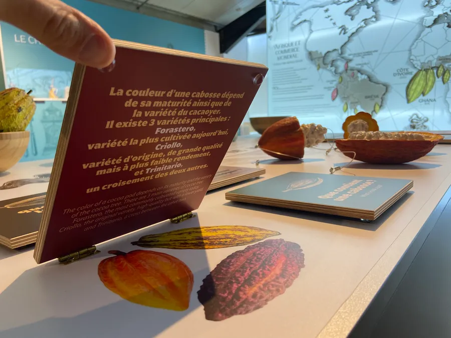 Image du carousel qui illustre: L'Extraordinaire Voyage du Chocolat à Fécamp