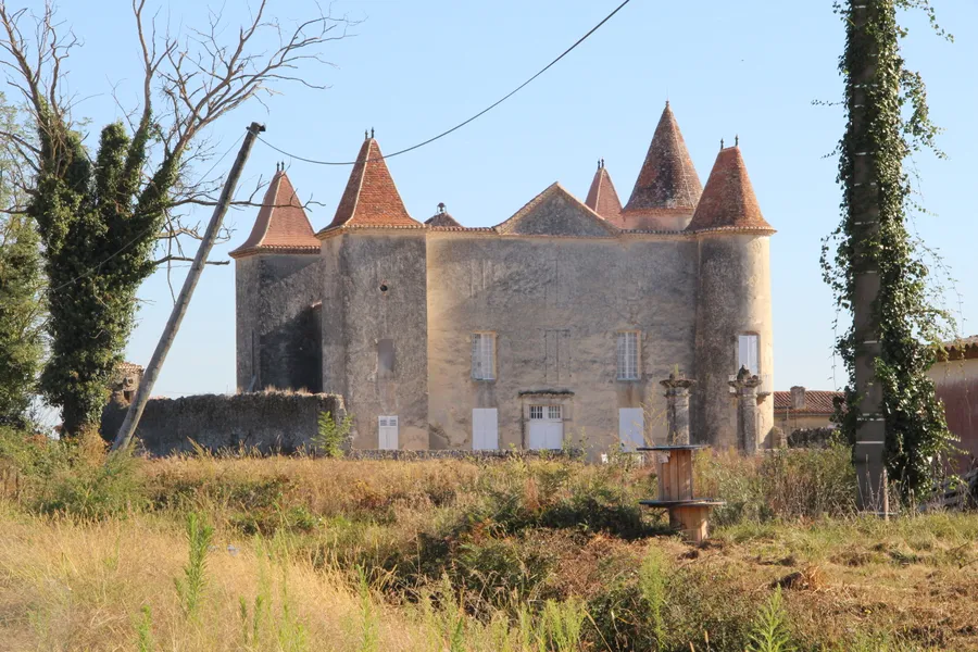 Image du carousel qui illustre: Château De Caumale à Escalans