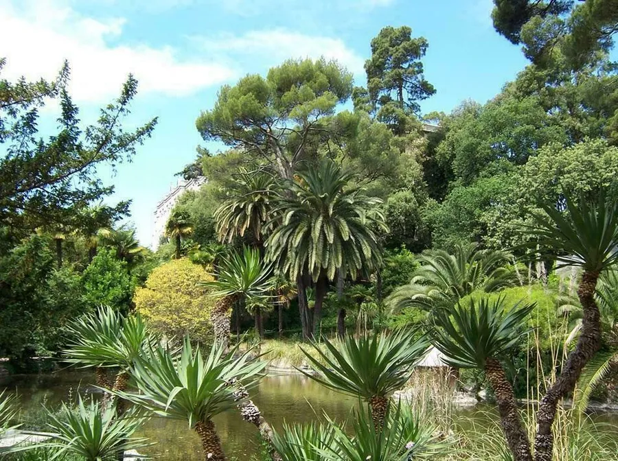 Image du carousel qui illustre: Visite des plantes médicinales du parc de Valrose à Nice