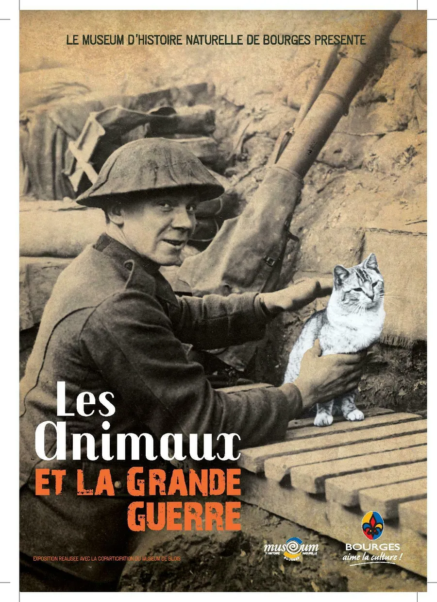 Image du carousel qui illustre: Les animaux et la Grande Guerre à Availles-Limouzine