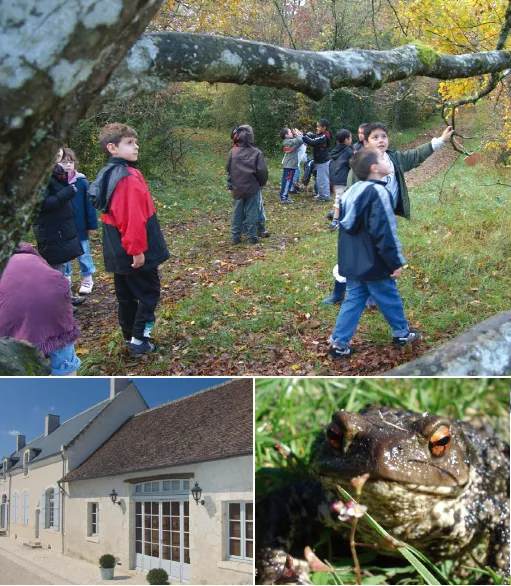 Image du carousel qui illustre: Maison De La Nature Et De La Réserve à Marolles