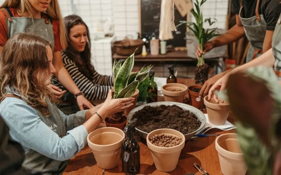 Image du carousel qui illustre: Apprenez à bouturer vos plantes à l'infini à Paris