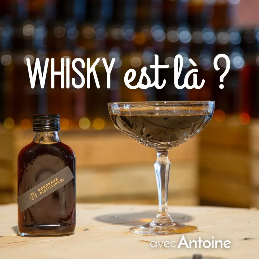 Image du carousel qui illustre: Fabriquez votre propre whisky de A à Z à Bordeaux