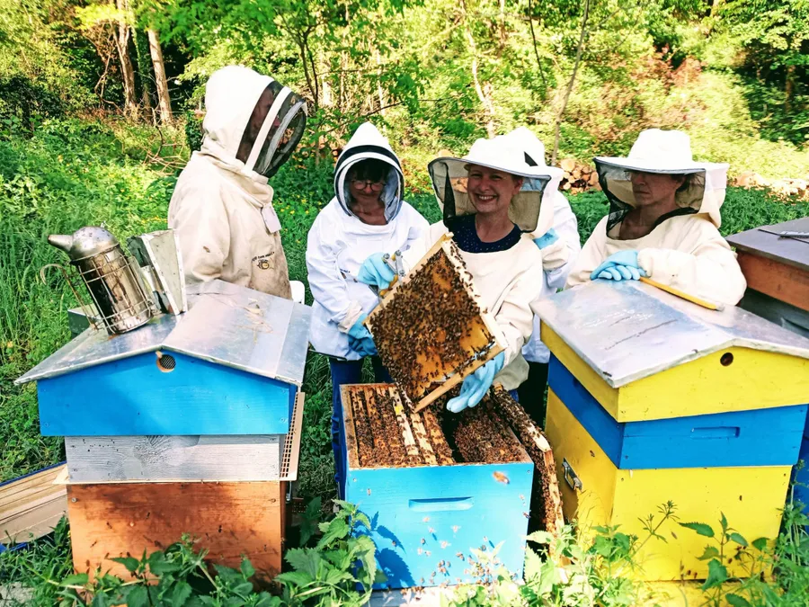 Image du carousel qui illustre: Découvrez l'apiculture à Sathonay-Village