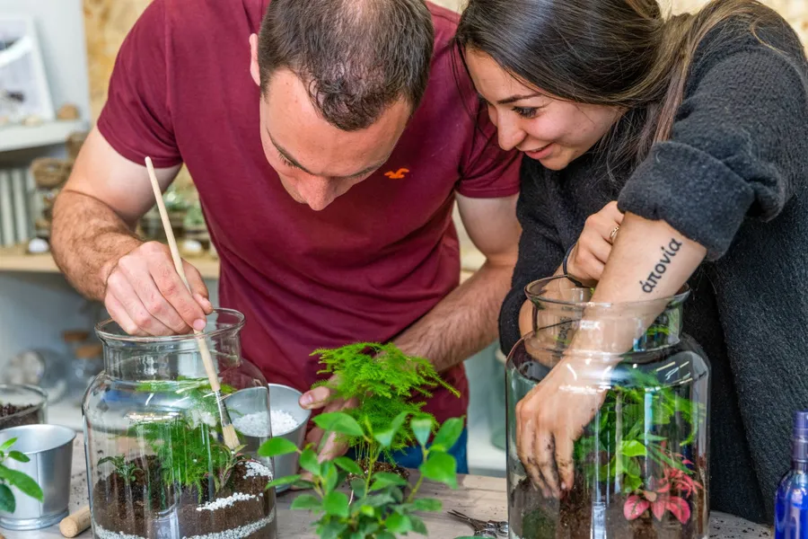 Image du carousel qui illustre: Créez votre terrarium à Caluire-et-Cuire