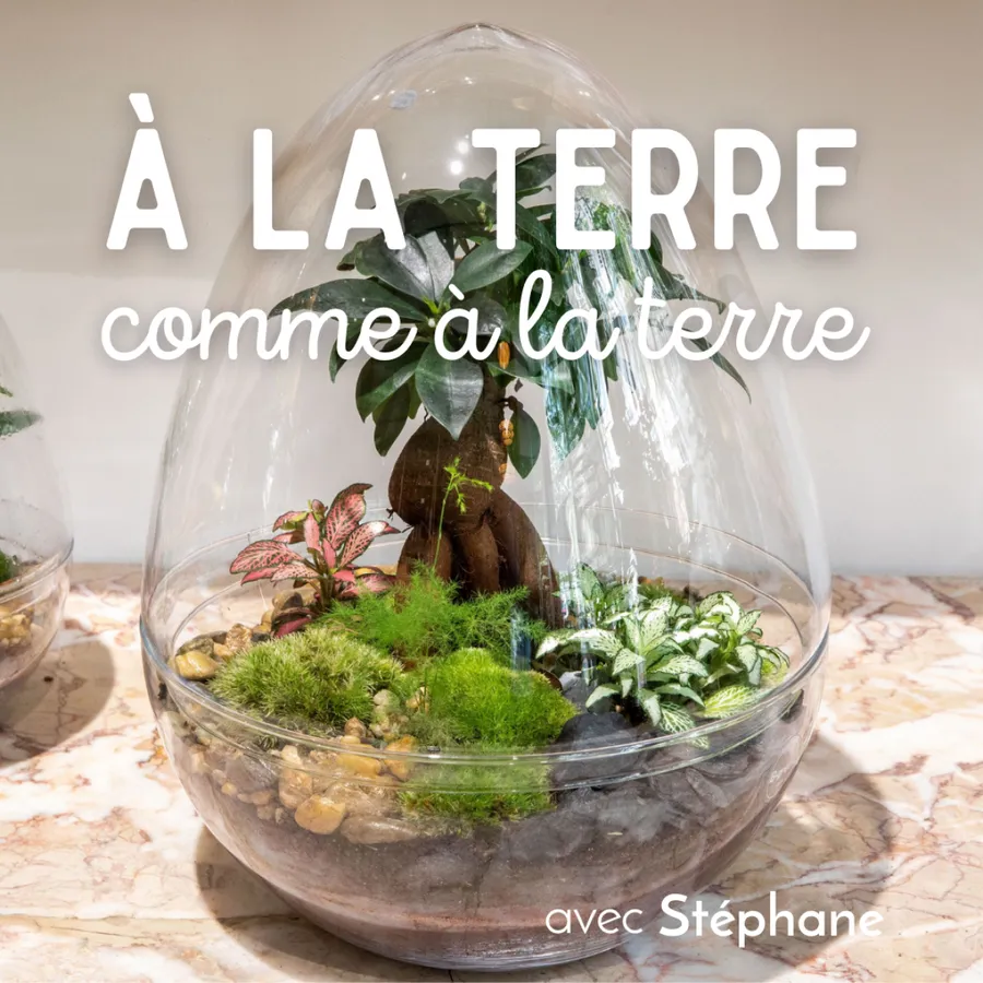 Image du carousel qui illustre: Créez votre capsule végétale XXL à deux à Paris